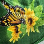 Premium China A/C Blanket-1kg
